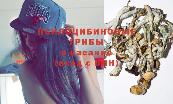 мяу мяу мука Абдулино