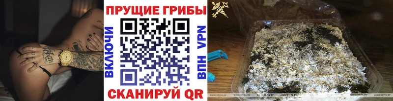 Галлюциногенные грибы Cubensis купить закладку KRAKEN вход Иноземцево
